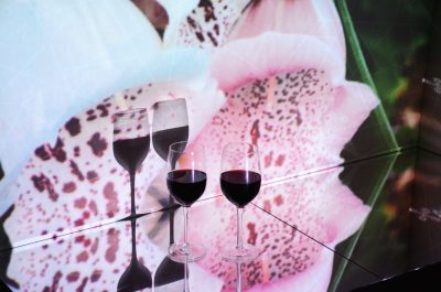 French Wines Under $20