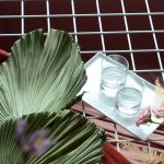 gin, vodka, eaux-de-vie, brandy