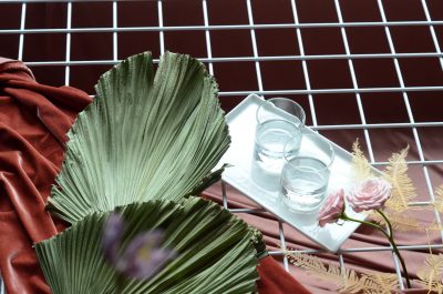 gin, vodka, eaux-de-vie, brandy