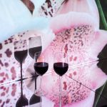 French Wines Under $20